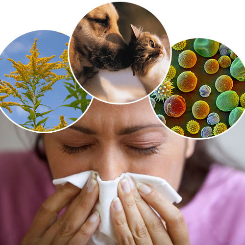 Jak unikać alergenu?