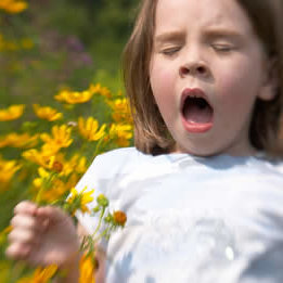 Jak sobie radzić z alergią na pyłki?