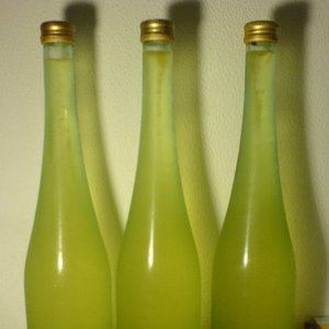 Niezbędne składniki