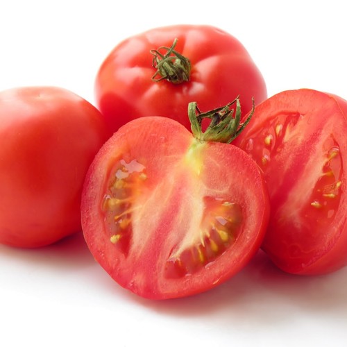 Jak uprawiać pomidory?