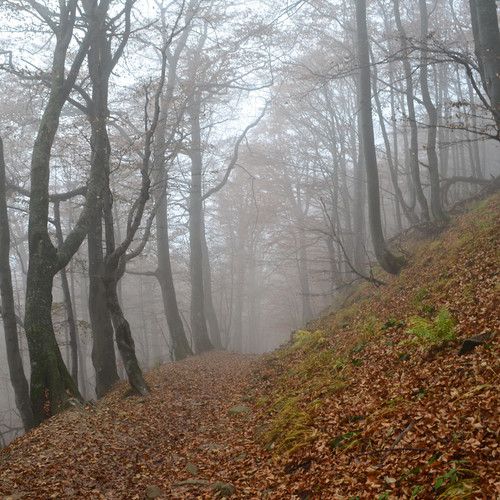 Jura Krakowsko-Częstochowska