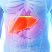 Jak wpłynąć na poprawę pracy wątroby?