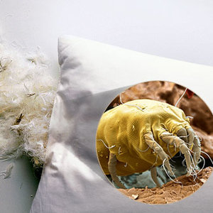 Jak wybrać pościel?