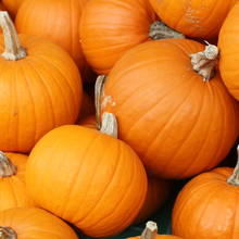 Cenne właściwości zdrowotne dyni