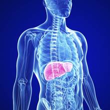 Jak dbać o wątrobę?