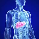 Jak dbać o wątrobę?