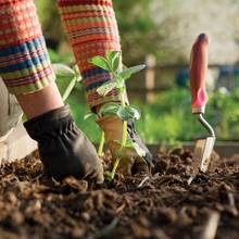 Sposób na poprawę gleby na wiosnę