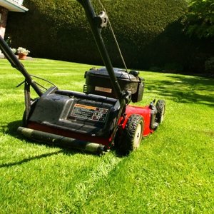 Czwarty sposób – zielone nawozy