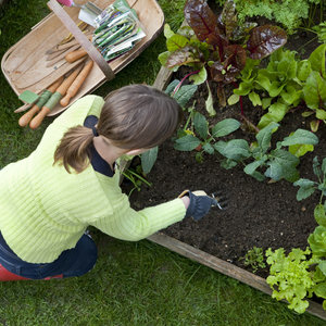 Pierwszy sposób – kompost