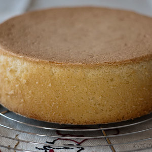 Niezbędne składniki