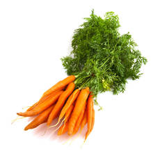 Jak uprawiać marchewkę?