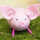 Jak wykonać pisanki-świnki?