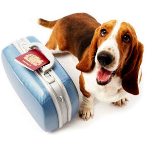 Poza Unią Europejską