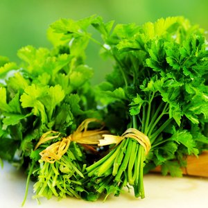 Roślina do sadzenia