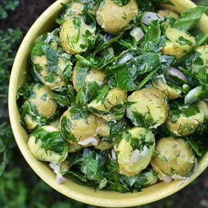 Potrzebne składniki