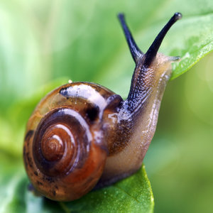 Przyjazne zwierzęta