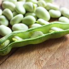 Jak uprawiać fasolę?