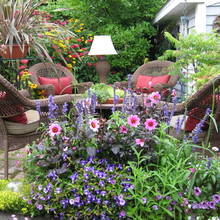 Domowe sposoby na szkodniki – cenne porady