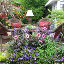 Domowe sposoby na szkodniki – cenne porady