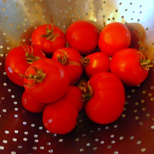 Pomidory z fetą