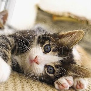 Obowiązkowe szczepienia