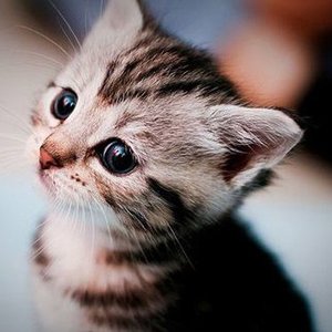 Nieobowiązkowe szczepienia