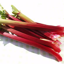 Jak uprawiać rabarbar?