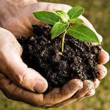 Jak przygotować dobry kompost?