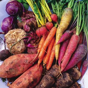 Odświeżanie warzyw