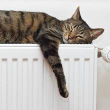 Jak postępować, gdy zapowietrzy się kaloryfer?