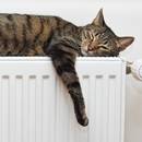 Jak postępować, gdy zapowietrzy się kaloryfer?