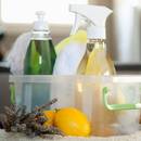 Jak posprzątać łazienkę w sposób ekologiczny?