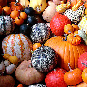 Witaminy i minerały