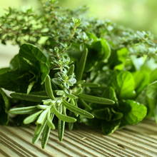 Które zioła najlepiej uprawiać w domu?