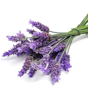 Piękny zapach kontra mole