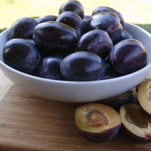 Składniki na nalewkę