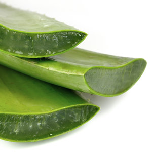 Aloes w żelu