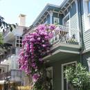 Sposób na podlewanie kwiatów w czasie urlopu