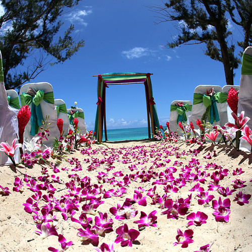 Jak przygotować wesele hawajskie?
