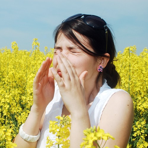 Jak sobie poradzić z alergią na pyłki?