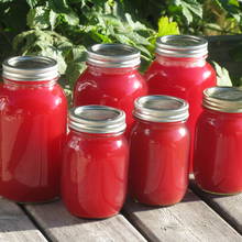 Jak zrobić orzeźwiający sok z rabarbaru?