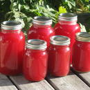 Jak zrobić orzeźwiający sok z rabarbaru?