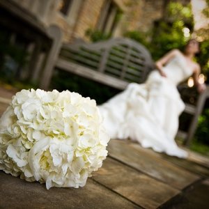 Album z zabawnymi zdjęciami