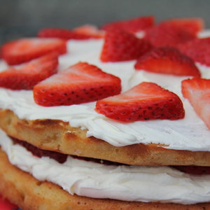 Niezbędne składniki