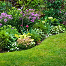 Czym się kierować, wybierając rośliny do swojego ogrodu?