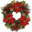 Jak dbać o gwiazdę betlejemską?