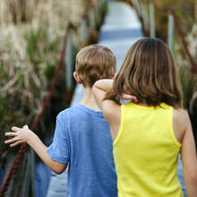 Które rośliny ogrodowe odstraszają komary?
