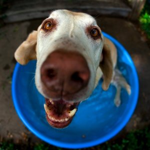 Basen i spryskiwanie