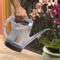 Jakiej wody należy używać do podlewania?