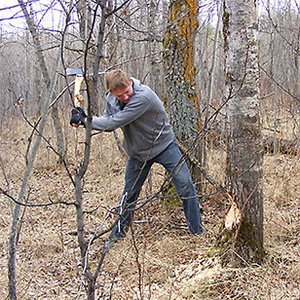 Jak powinno się rąbać drewno?